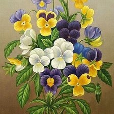 Анютины глазки