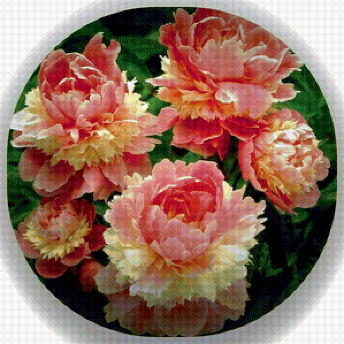 Пионы - вышивка крестиком - предпросмотр