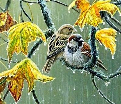 Осенний дождь - осень, дождь, птицы - оригинал