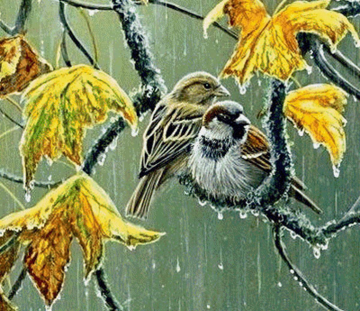 Осенний дождь - осень, дождь, птицы - предпросмотр