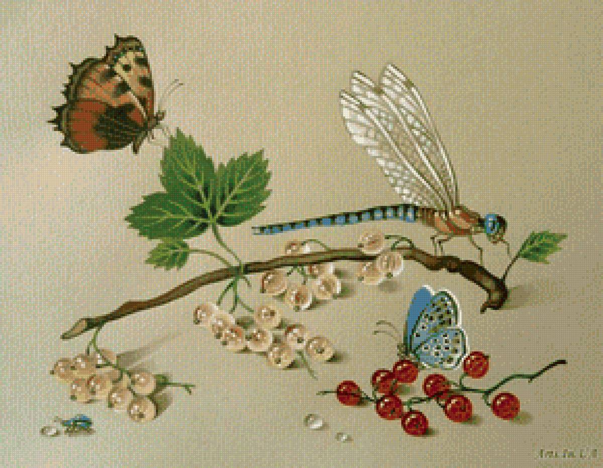 натюрморт со стрекозой и смородиной - федор толстой, бабочки, натюрморт, стрекоза, смородина - предпросмотр