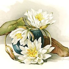 Схема вышивки «Натюрморт.»