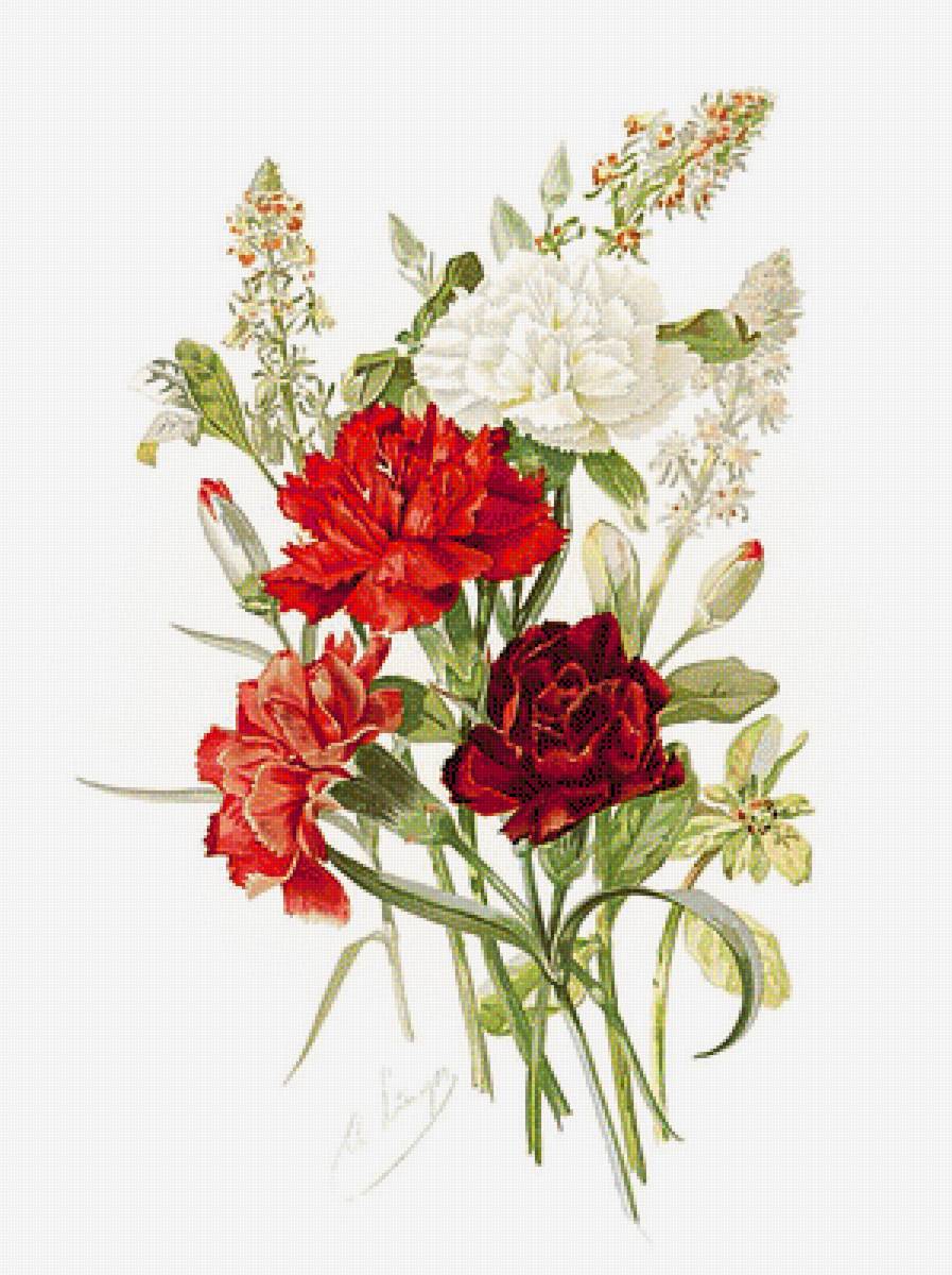 Гвоздики. - живопись., цветы, натюрморт - предпросмотр