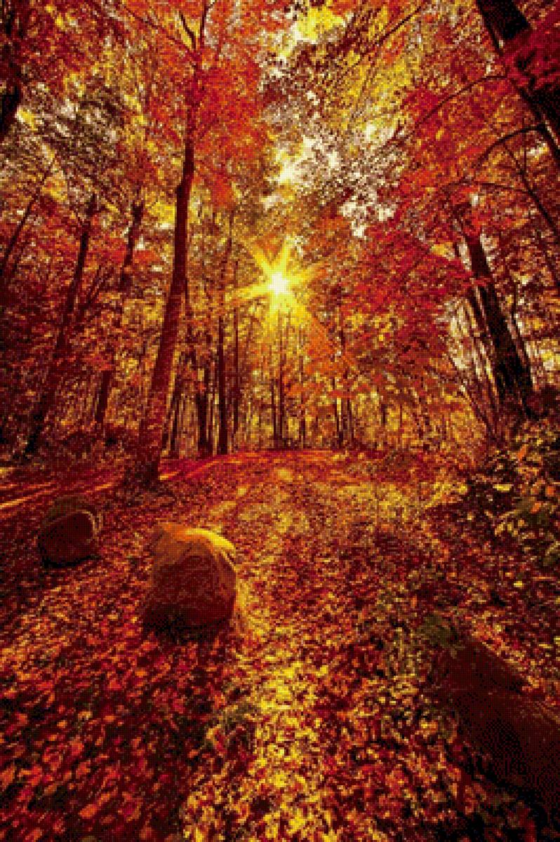 №1772897 - осень, пейзаж, времена года - предпросмотр