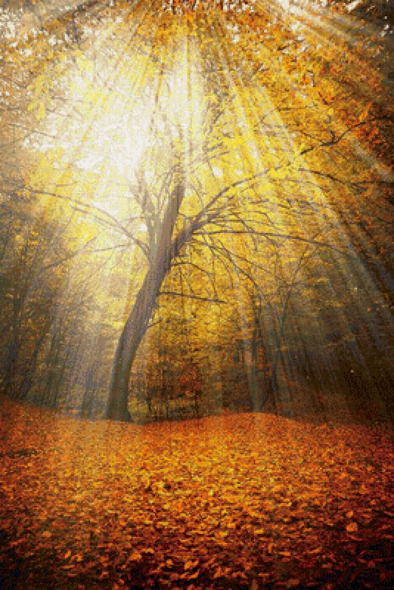 №1772898 - осень, пейзаж, времена года - предпросмотр