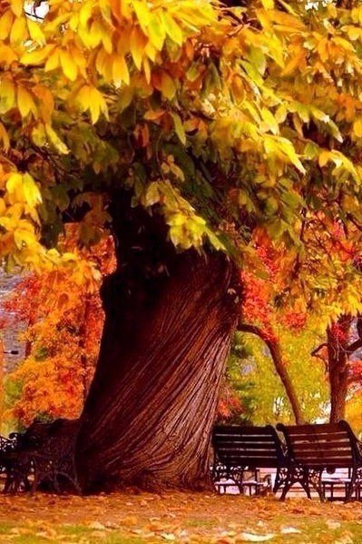 №1772899 - пейзаж - оригинал