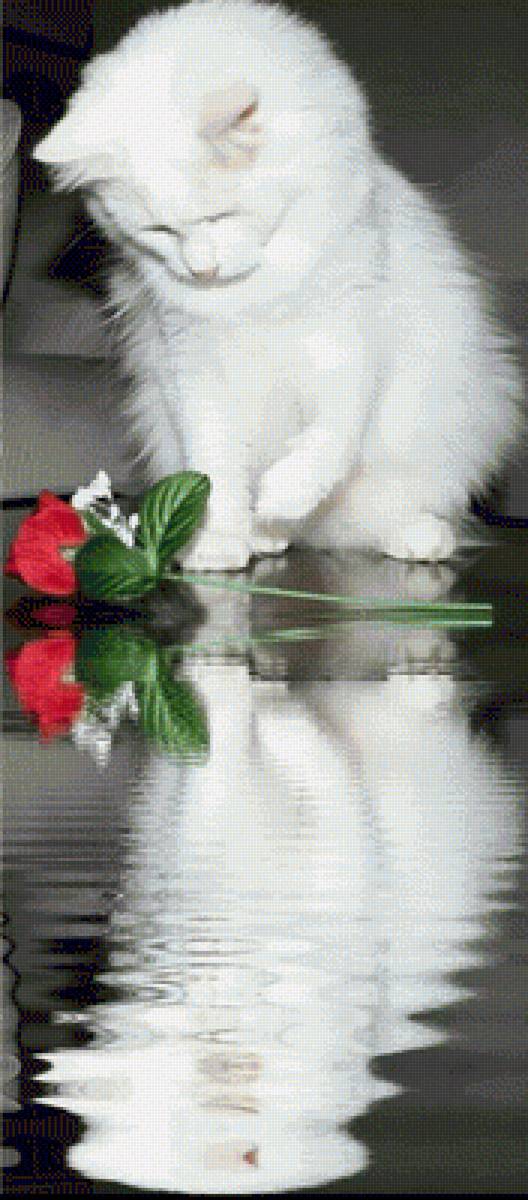 №1773218 - предпросмотр