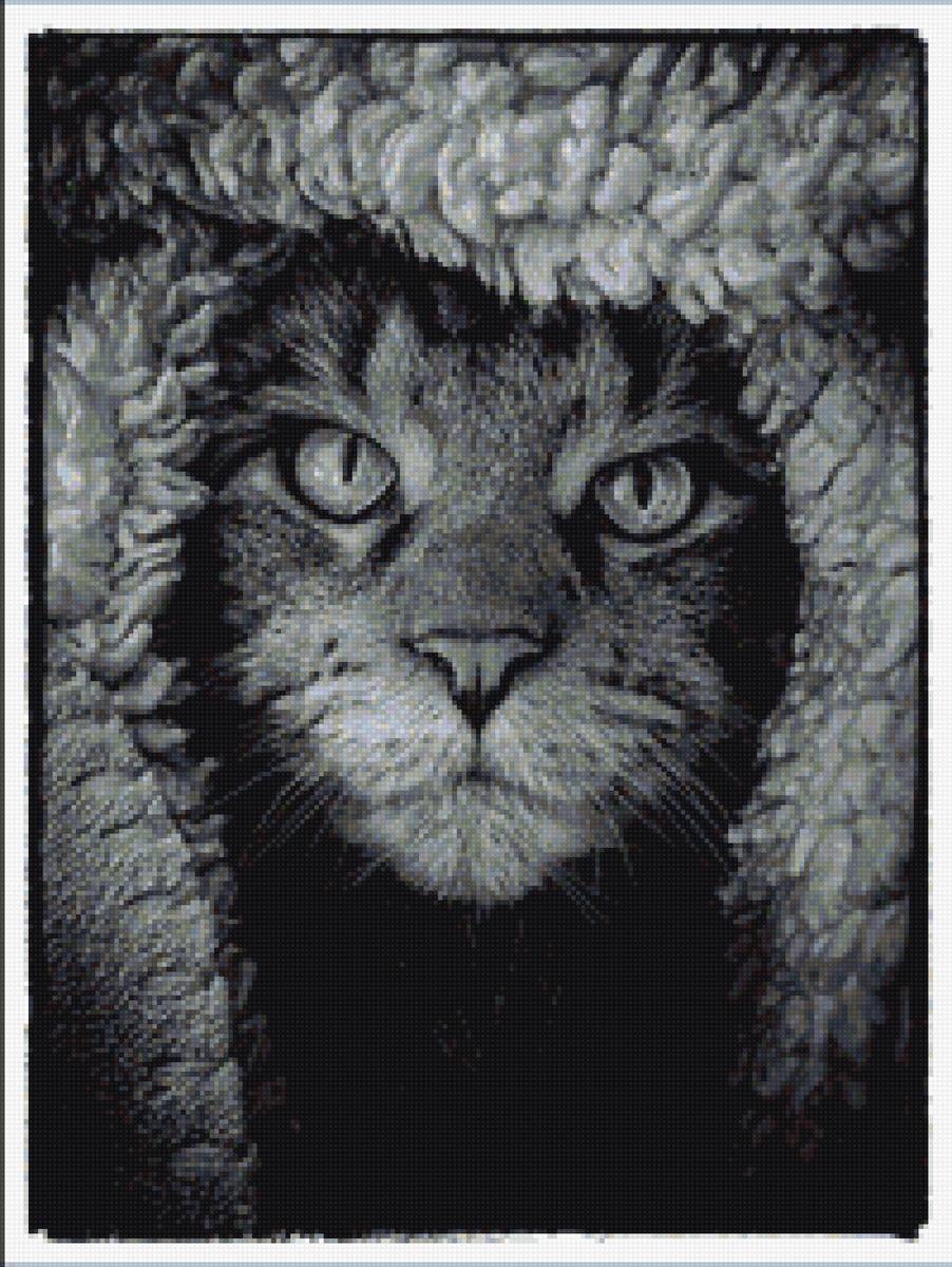 №1773561 - предпросмотр