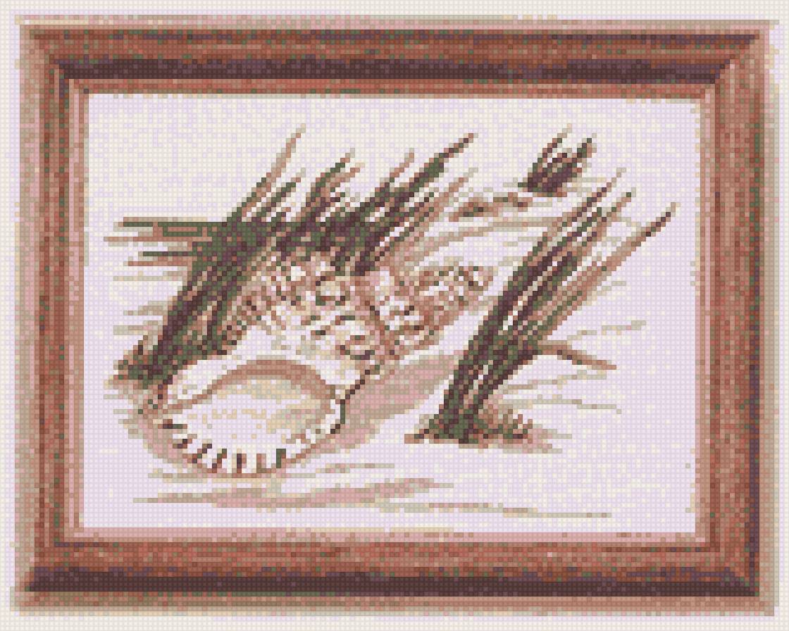 ракушка в траве - предпросмотр