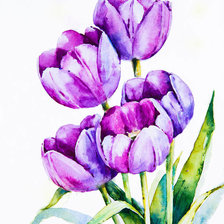 Схема вышивки «акварельные тюльпаны»