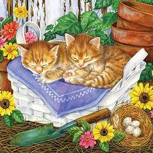 Схема вышивки «котята»