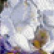 Предпросмотр схемы вышивки «Букет цветов» (№1774379)