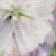 Предпросмотр схемы вышивки «букет белых цветов» (№1774694)