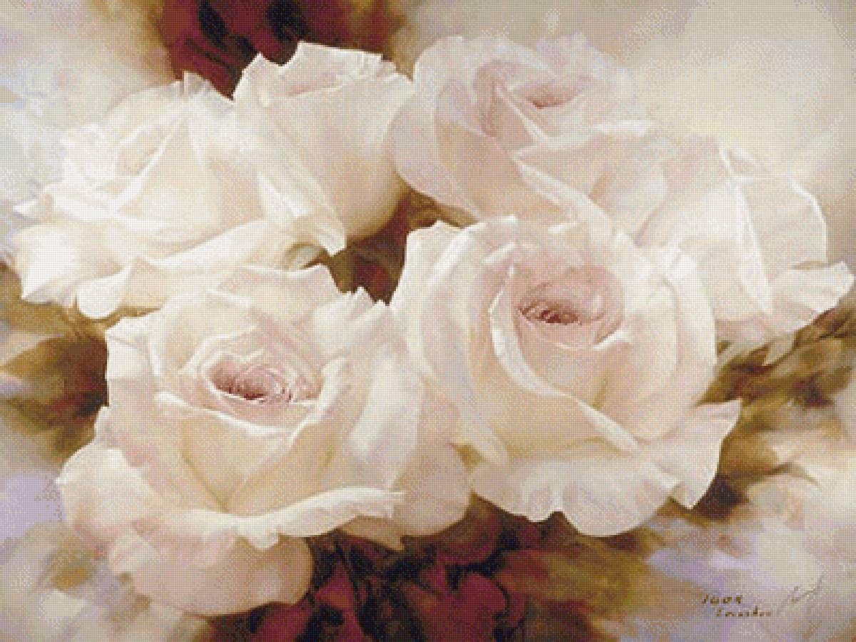 Белые розы - цветы, белые, натюрморт, розы - предпросмотр