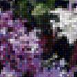 Предпросмотр схемы вышивки «сирень» (№1774722)