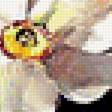 Предпросмотр схемы вышивки «Натюрморт.» (№1774792)