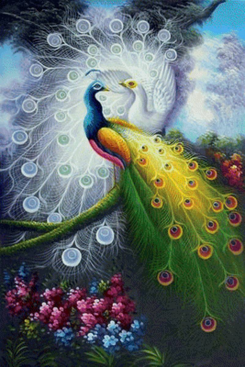 krása - предпросмотр