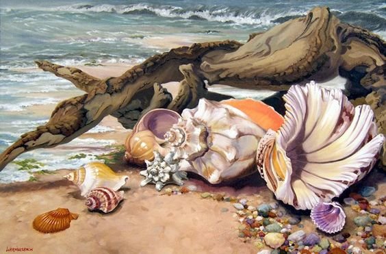 mušle - оригинал