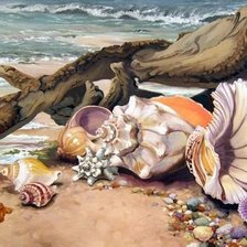 Схема вышивки «mušle»