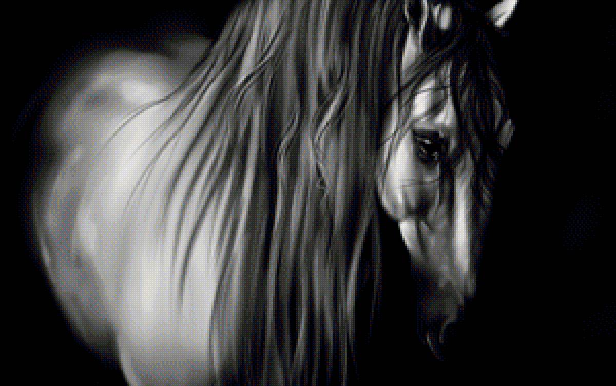 Лошадь - лошадь, кони, черно-белое, животные - предпросмотр