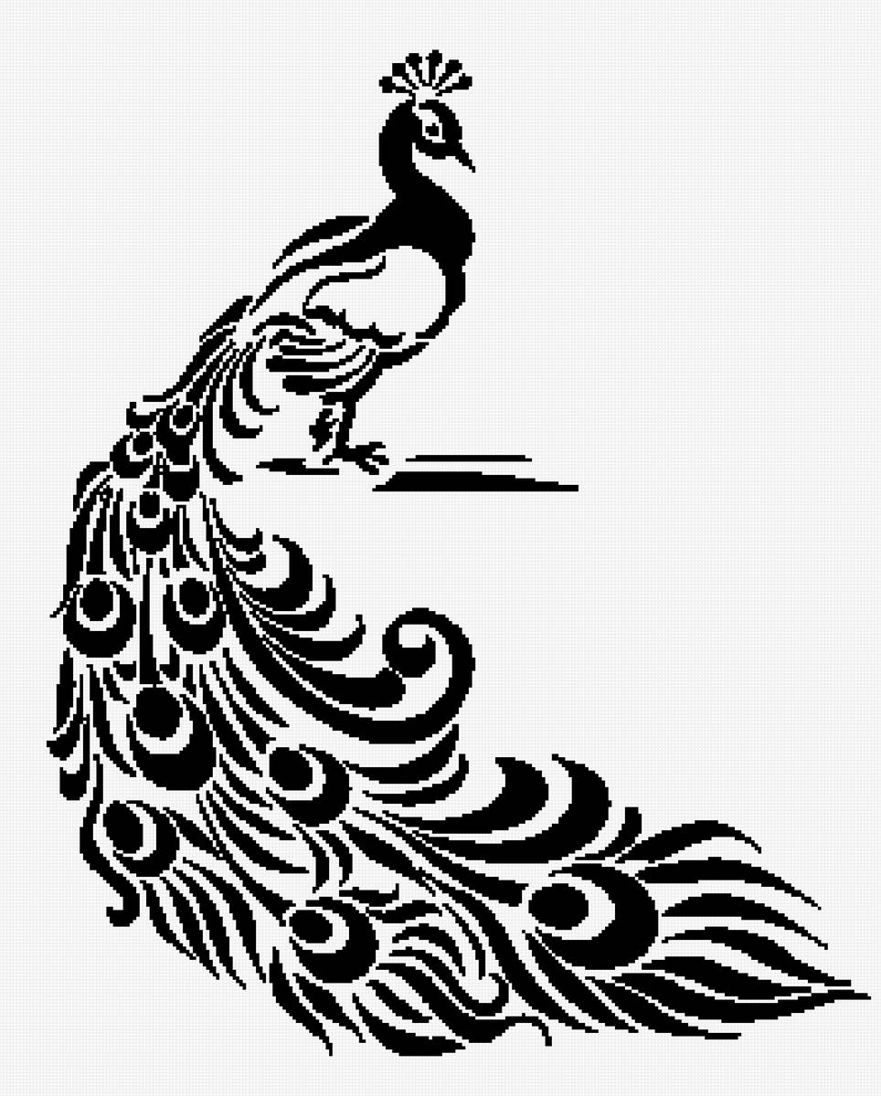 павлин - предпросмотр