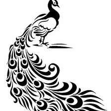 Схема вышивки «павлин»