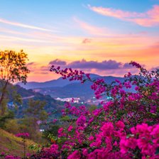 Схема вышивки «поляна»