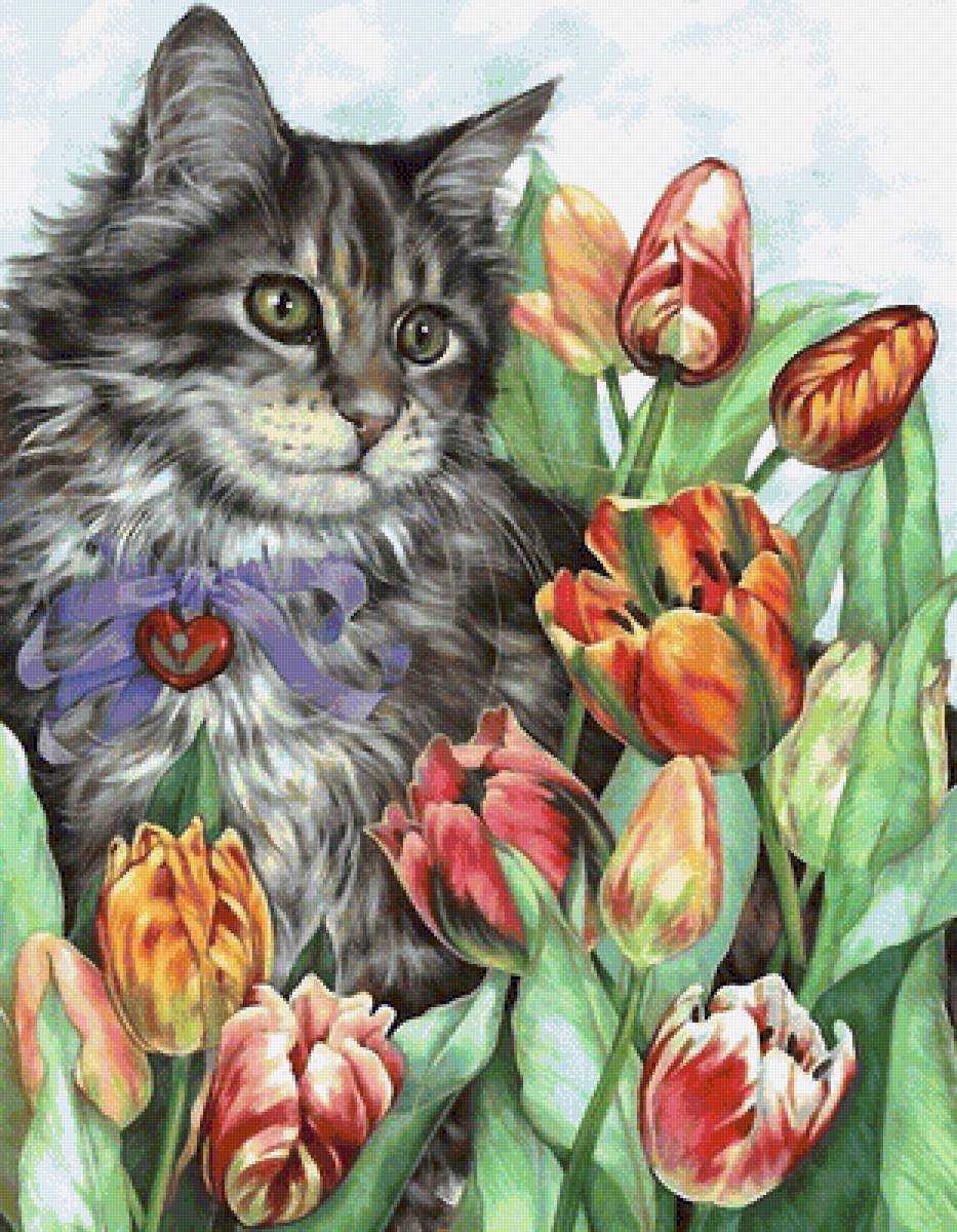 кот - кот - предпросмотр