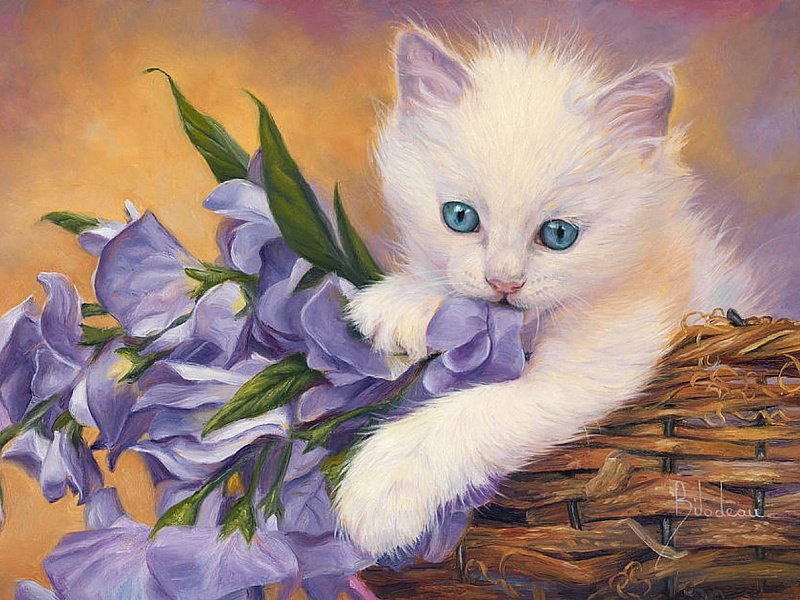 котёнок - котенок - оригинал