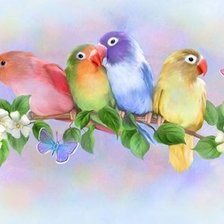 Схема вышивки «Попугаи неразлучники»