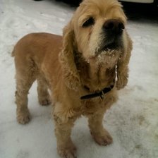 Схема вышивки «Бзик»