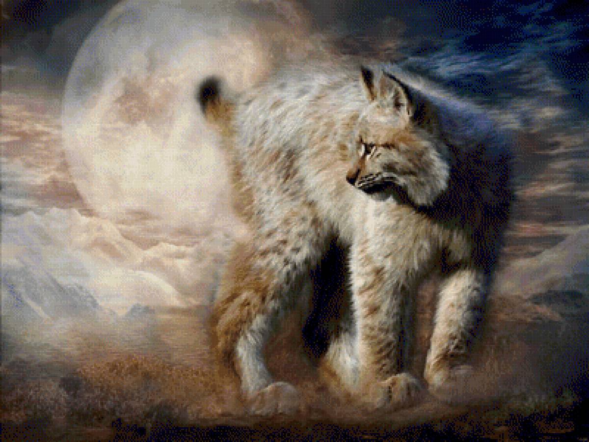 ДИКАЯ КОШКА - carol cavalaris, дикая кошка, природа - предпросмотр