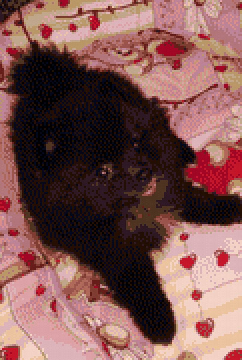 Шпиц - предпросмотр