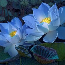 Схема вышивки «№1779892»