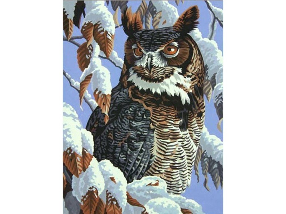Сова - птица, сова - оригинал