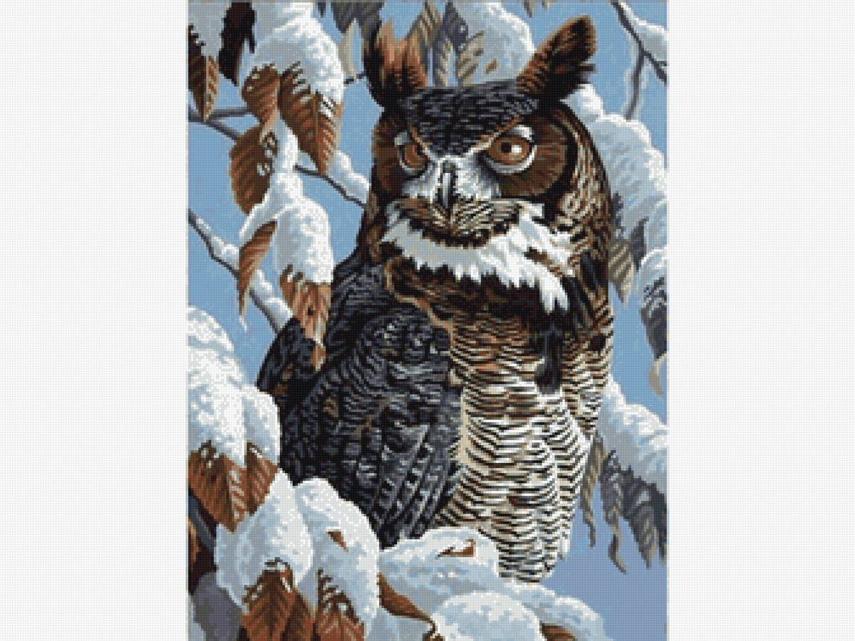 Сова - птица, сова - предпросмотр