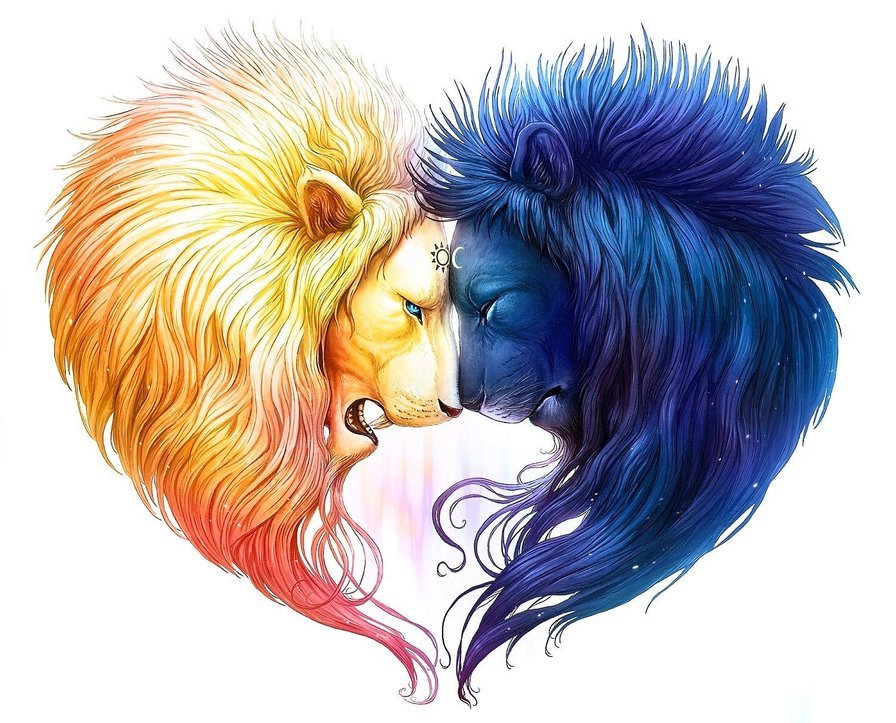 львы - любовь - оригинал