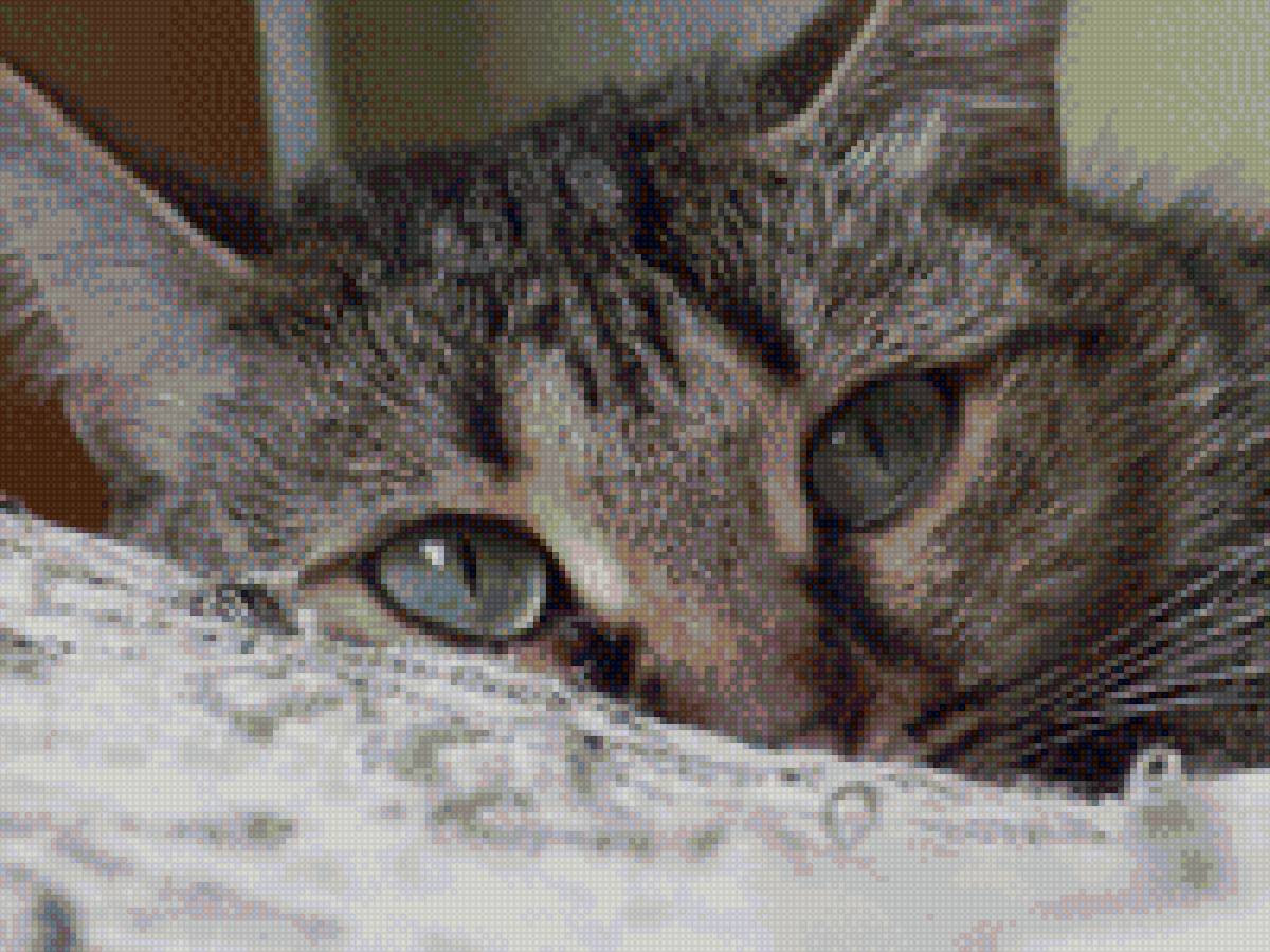 манечка - предпросмотр