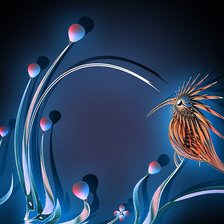 Схема вышивки «птицы»