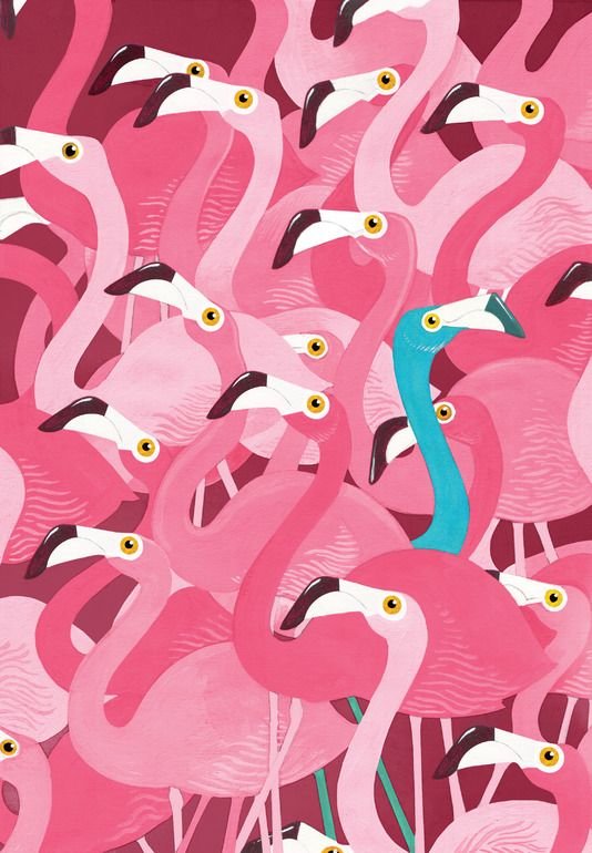 Розовый фламинго - птицы, синий, счастье, фламинго, птица, синяя, розовый, счастья - оригинал