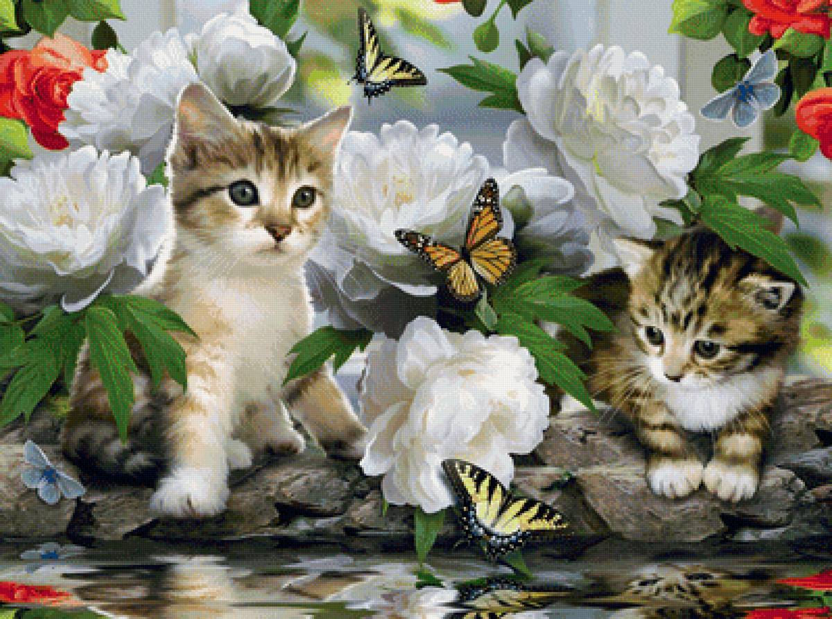 котята - котята - предпросмотр