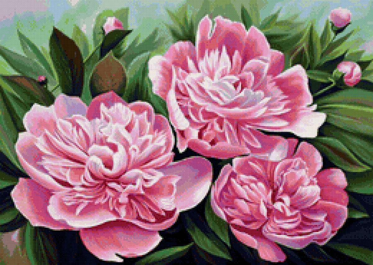 Худ. Деревенчук Вл. Пионы - цветы, букет - предпросмотр