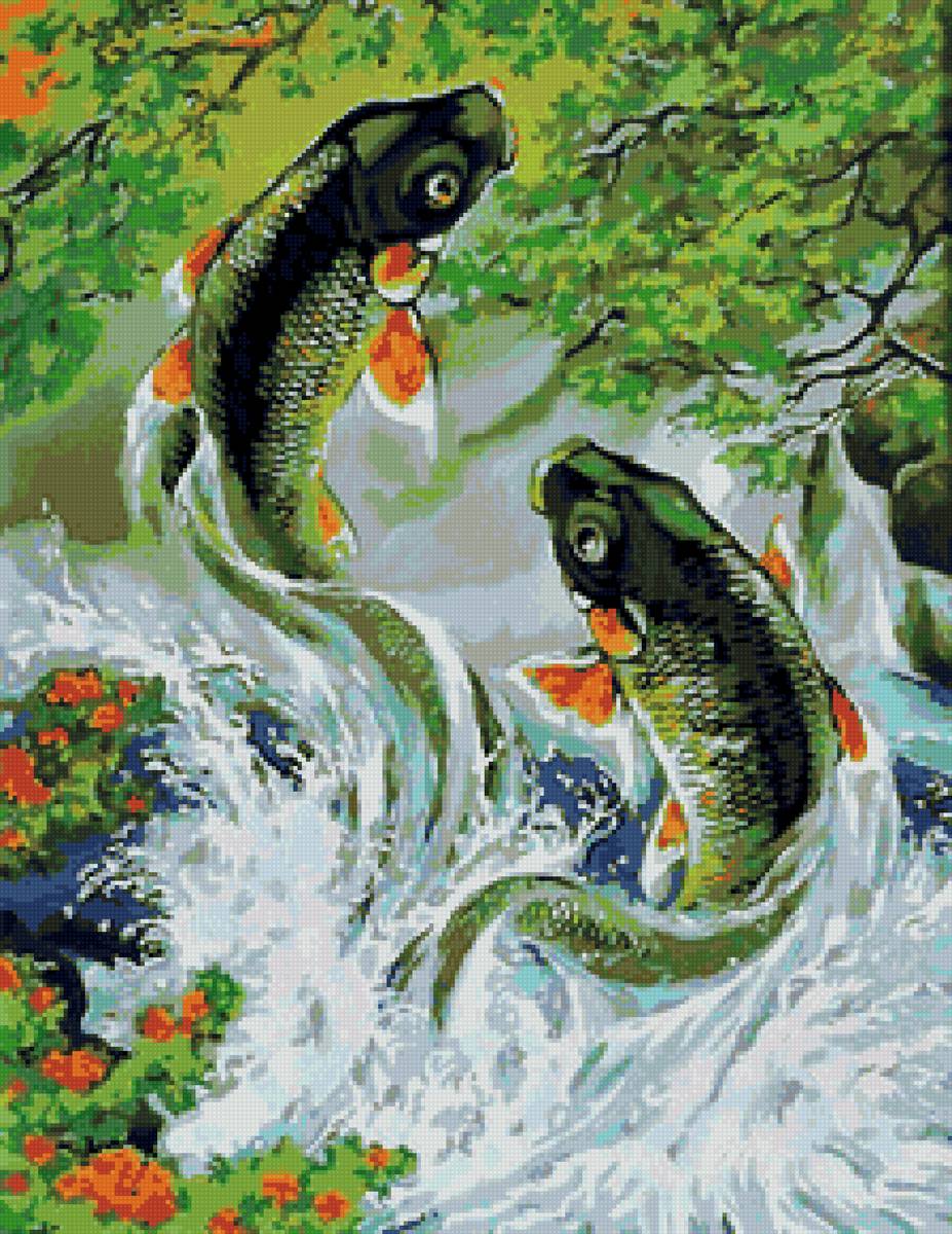 Карпы - река, рыбы, карпы - предпросмотр