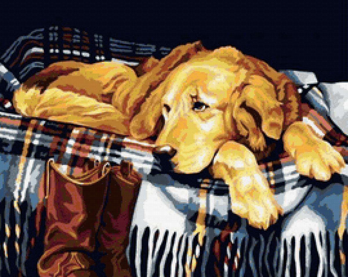 Собака - животные, собака - предпросмотр