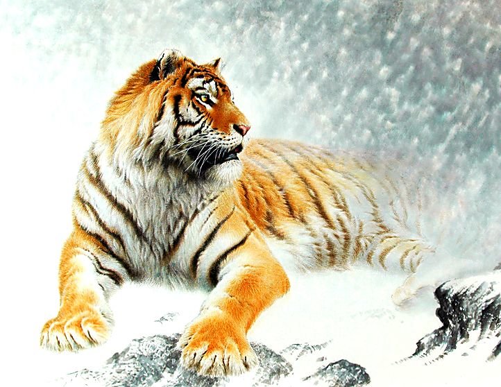 №1780866 - оригинал