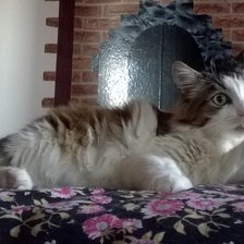 Схема вышивки «степан»