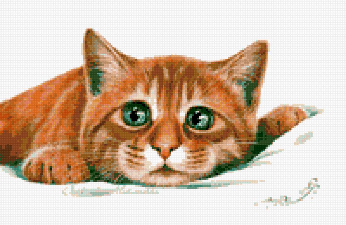 кот - рыжий - предпросмотр