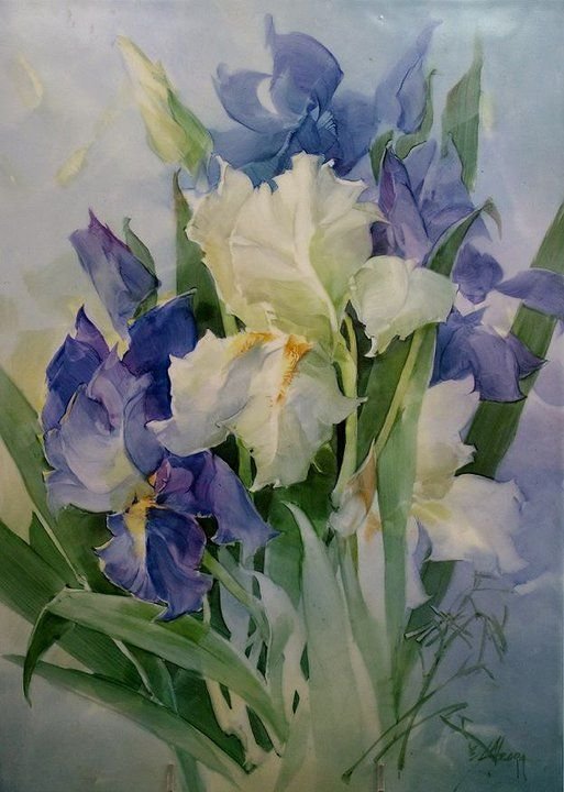 Белые и голубые ирисы - цветы, букет, ирисы - оригинал