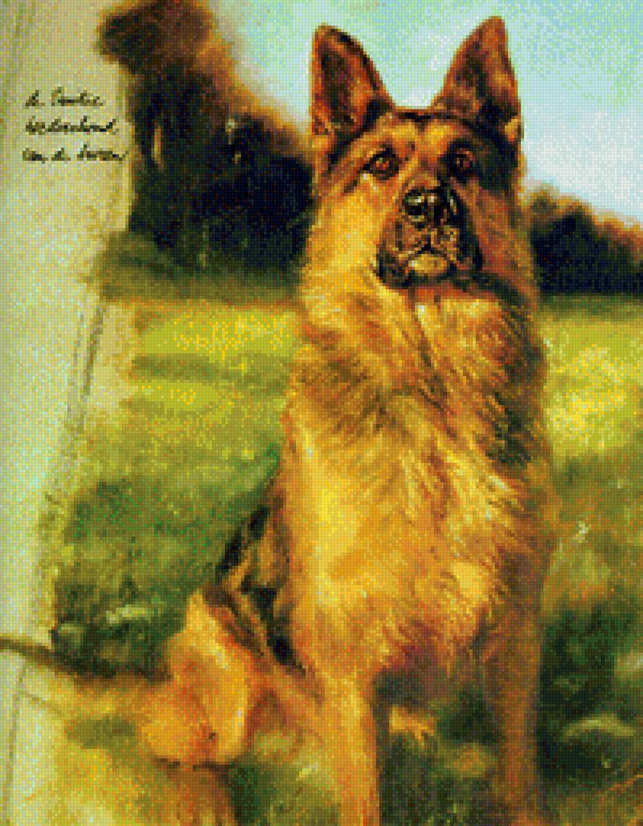 Собака - картина, овчарка, животные, собака, живопись - предпросмотр