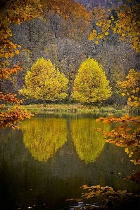 ОСЕНИЙ ПЕЙЗАЖ - осений пейзаж - оригинал